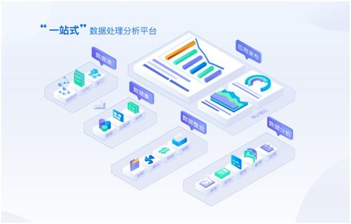 國內數(shù)據(jù)可視化與數(shù)據(jù)處理服務推薦公司
